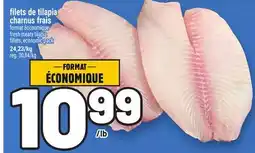 Metro FILETS DE TILAPIA CHARNUS FRAIS | FRESH MEATY TILAPIA FILLETS offer