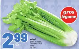 Metro CÉLERI | CELERY offer