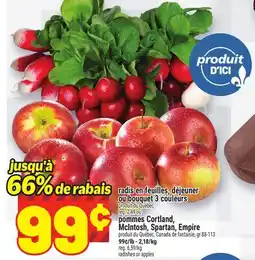 Metro RADIS EN FEUILLES, DÉJEUNER OU BOUQUET 3 COULEURS | POMMES CORTLAND, MCINTOSH, SPARTAN, EMPIRE offer