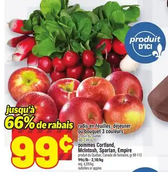 Metro RADIS EN FEUILLES, DÉJEUNER OU BOUQUET 3 COULEURS | POMMES CORTLAND, MCINTOSH, SPARTAN, EMPIRE offer