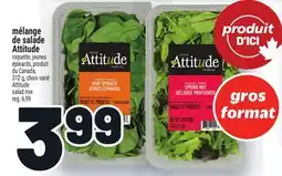 Metro MÉLANGE DE SALADE ATTITUDE | ATTITUDE SALAD MIX offer
