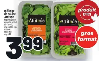 Metro MÉLANGE DE SALADE ATTITUDE | ATTITUDE SALAD MIX offer