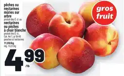Metro PÊCHES OU NECTARINES MÛRIES SUR ARBRE | PEACHES OR NECTARINES offer