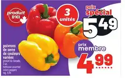 Metro POIVRONS DE SERRE DE COULEURS VARIÉES | HOTHOUSE ASSORTED COLORS PEPPERS offer
