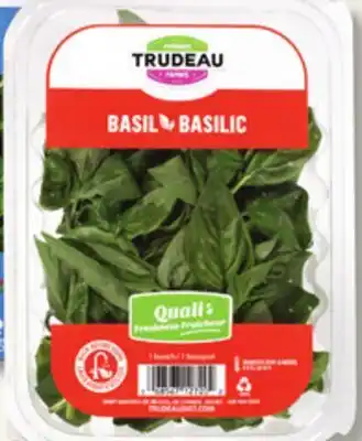 IGA FERMES TRUDEAU GREEN BASIL SPRIGS offer