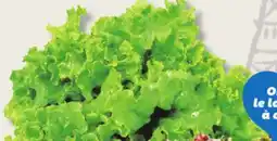IGA GREEN LEAF LETTUCE offer