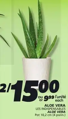 IGA ALOE VERA offer