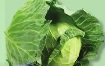 IGA GREEN CABBAGE offer
