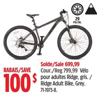 Canadian Tire Raleigh Ridge Adult Bike, Grey offer
