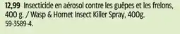 Canadian Tire Raid Hornet & Wasp Spray, Aerosol Spray, 400 g offer