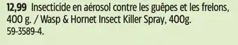 Canadian Tire Raid Hornet & Wasp Spray, Aerosol Spray, 400 g offer