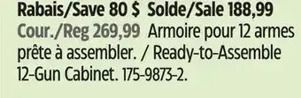 Canadian Tire Ready-to-Assemble 12-Gun Cabinet offer