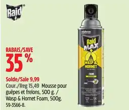 Canadian Tire Wasp & Hornet Foam offer