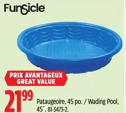 Canadian Tire Funsicle Wading Pool, 45˝ offer