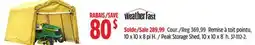 Canadian Tire Aquarius Peak Storage Shed offer