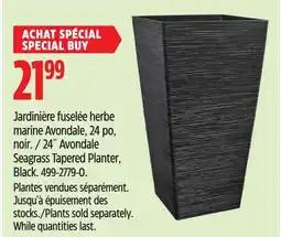 Canadian Tire 24˝ Avondale Seagrass Tapered Planter offer