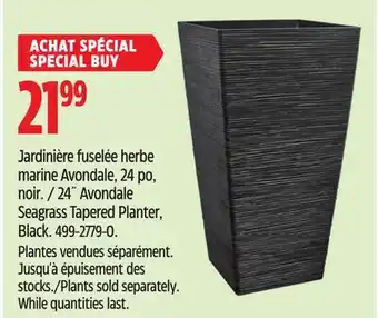Canadian Tire 24˝ Avondale Seagrass Tapered Planter offer