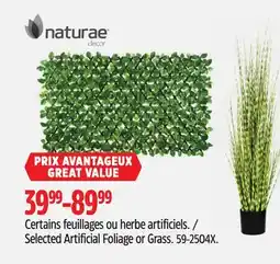 Canadian Tire Selected Artificial Foliage or Grass offer