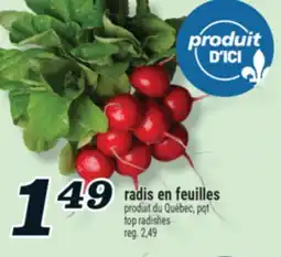 Marché Richelieu RADIS EN FEUILLES | TOP RADISHES offer
