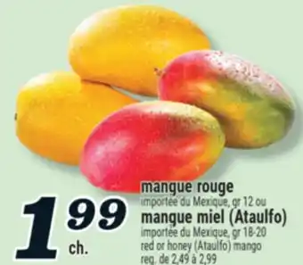 Marché Richelieu Mangue Rouge ou Mangue miel (Ataulfo) | Red or Honey (Ataulfo) mango offer