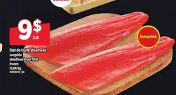 Maxi FILET DE TRUITE STEELHEAD SURGELÉE | STEELHEAD TROUT FILLET FROZEN offer