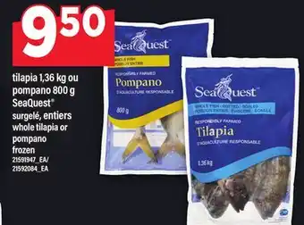 Maxi TILAPIA 1,36 KG OU POMPANO 800 G SEAQUEST | WHOLE TILAPIA OR POMPANO offer