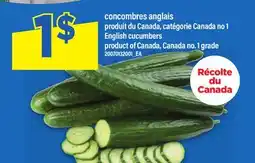 Maxi CONCOMBRES ANGLAIS | ENGLISH CUCUMBERS offer