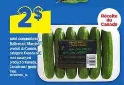 Maxi MINI-CONCOMBRES DÉLICES DU MARCHÉ offer