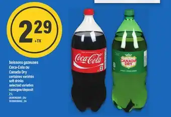 Maxi BOISSONS GAZEUSES COCA-COLA OU CANADA DRY | SOFT DRINKS, 2 L offer