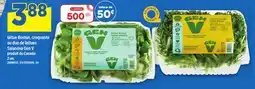 Maxi LAITUE BOSTON, CROQUANTE OU DUO DE LAITUES SALANOVA GEN V, 2 UN offer