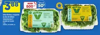 Maxi LAITUE BOSTON, CROQUANTE OU DUO DE LAITUES SALANOVA GEN V, 2 UN offer