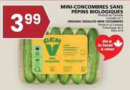 Rachelle-Bery Grocery ORGANIC SEEDLESS MINI CUCUMBERS offer