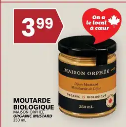 Rachelle-Bery Grocery MAISON ORPHÉE ORGANIC MUSTARD offer