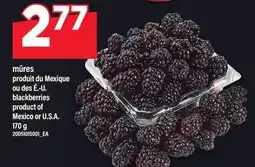 Maxi MÛRES | BLACKBERRIES, 170 g offer