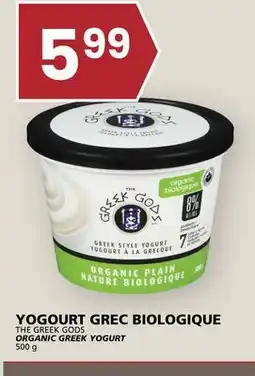 Rachelle-Bery Grocery THE GREEK GODS ORGANIC GREEK YOGURT offer