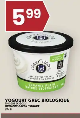 Rachelle-Bery Grocery THE GREEK GODS ORGANIC GREEK YOGURT offer