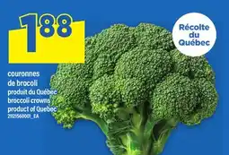 Maxi COURONNES DE BROCOLI offer
