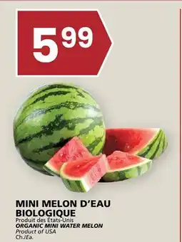 Rachelle-Bery Grocery ORGANIC MINI WATER MELON offer