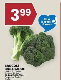 Rachelle-Bery Grocery ORGANIC BROCCOLI offer