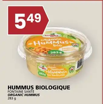 Rachelle-Bery Grocery FONTAINE SANTÉ ORGANIC HUMMUS offer