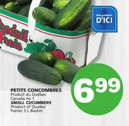Marches Tradition SMALL CUCUMBERS offer