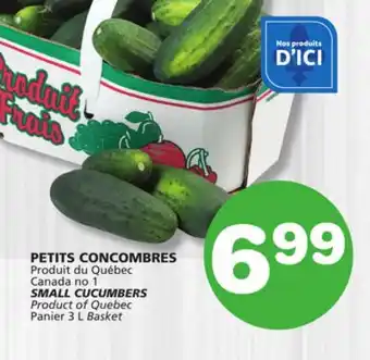 Marches Tradition SMALL CUCUMBERS offer