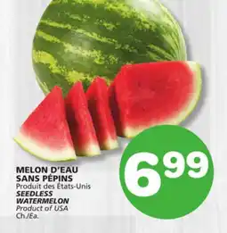 Marches Tradition SEEDLESS WATERMELON offer