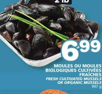 Marches Tradition FRESH CULTIVATED MUSSELS OR ORGANIC MUSSELS offer