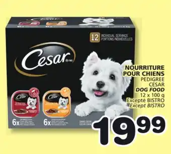 Marches Tradition PEDIGREE CESAR DOG FOOD offer
