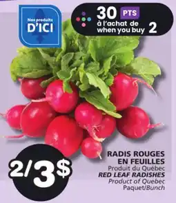 Marches Tradition RED LEAF RADISHES offer