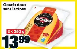 Super C Gouda doux sans lactose offer