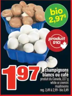 Super C champignons blancs ou café | white or cremini mushrooms offer