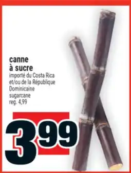 Super C Dominicaine sugarcane | canne à sucre offer