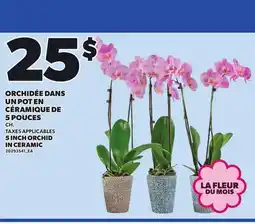 Provigo ORCHIDÉE DANS UN POT EN CÉRAMIQUE DE 5 POUCES | 5 INCH ORCHID IN CERAMIC offer